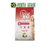 FORMA 360 GRAIN FREE ADULT MEDIUM MAXI SALMONE E AGNELLO KG 12